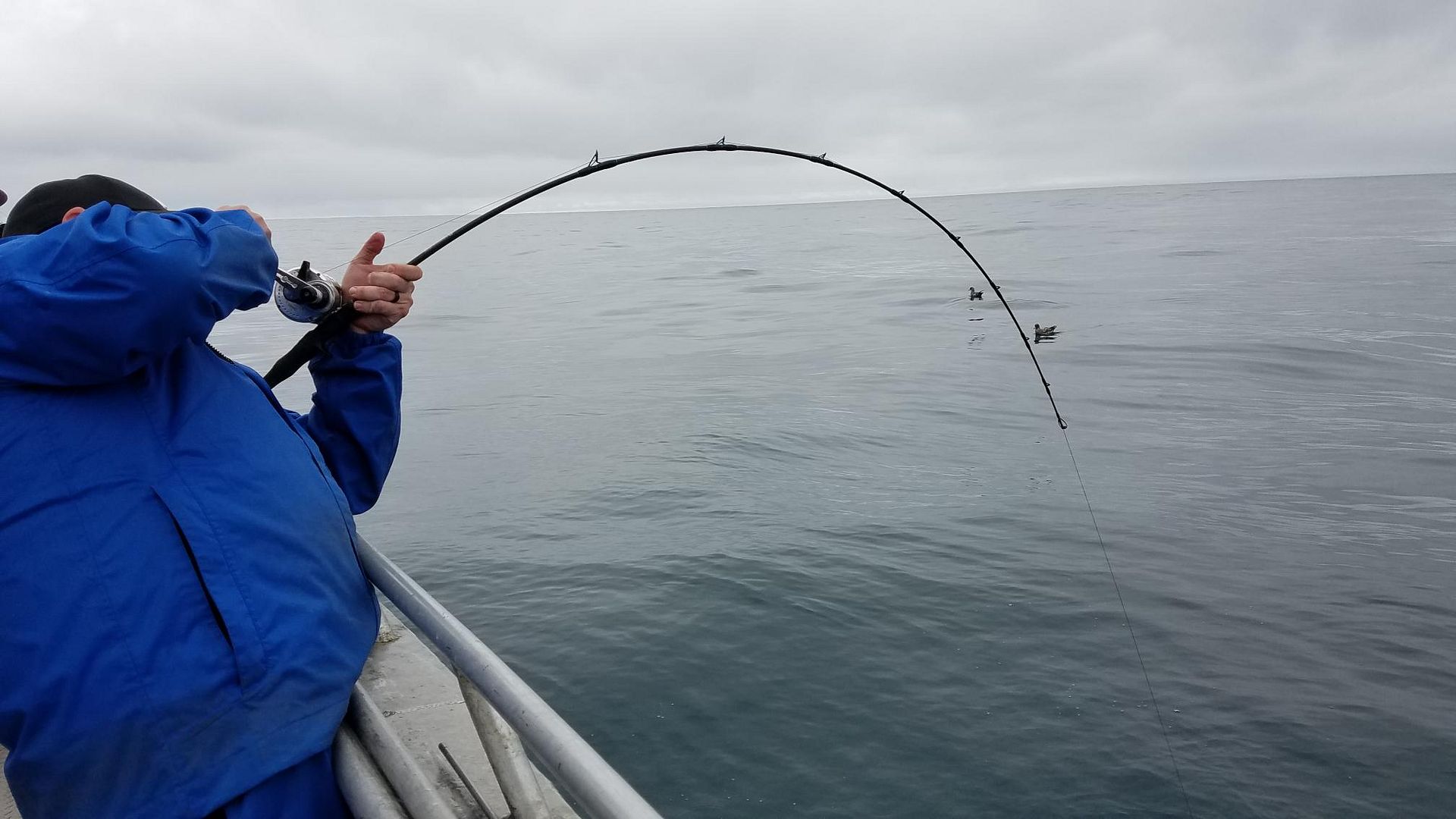 halibut jigging trip at Icy Bay Lodge on July 22 28 2018 Bloodydecks